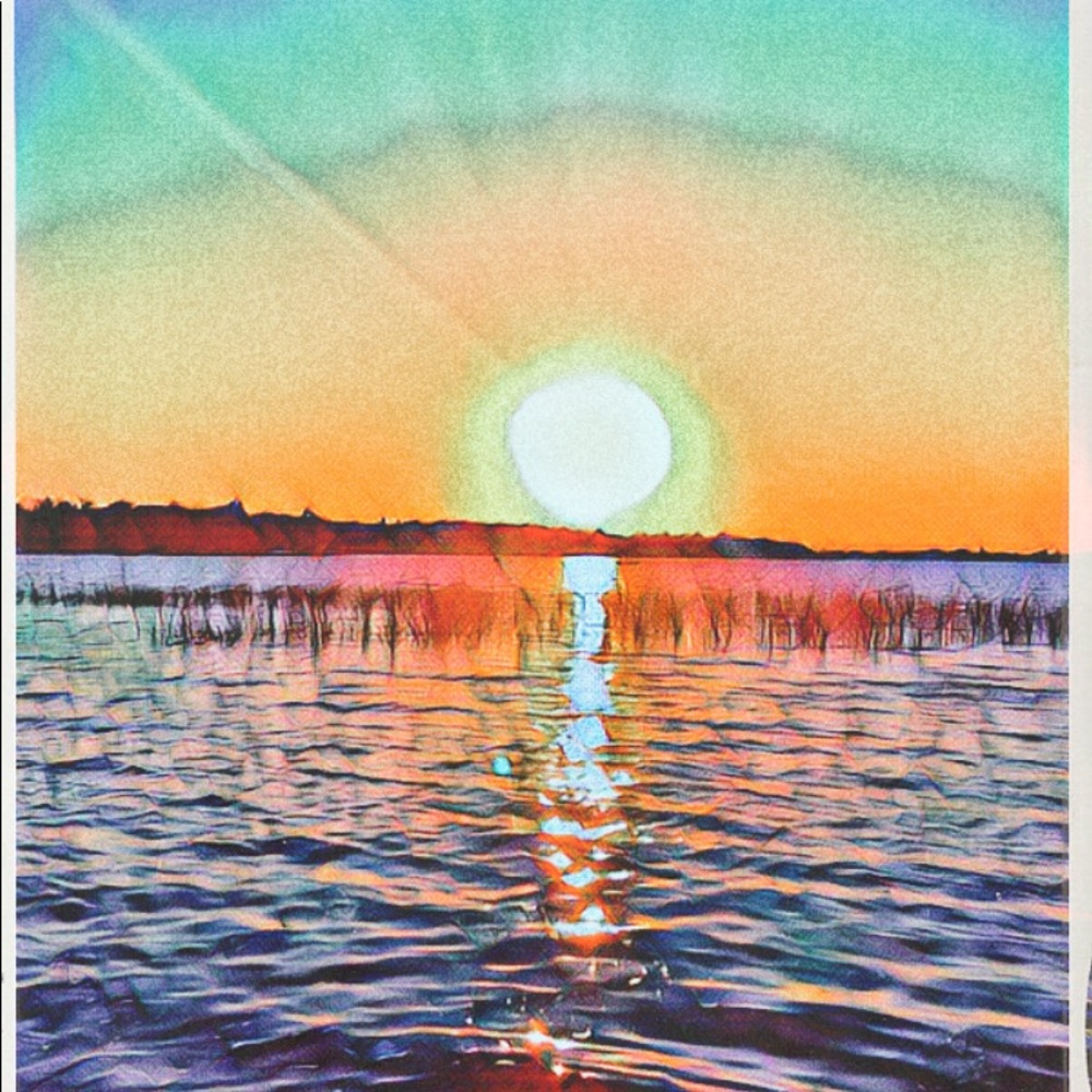 Meet your Posher, Bella